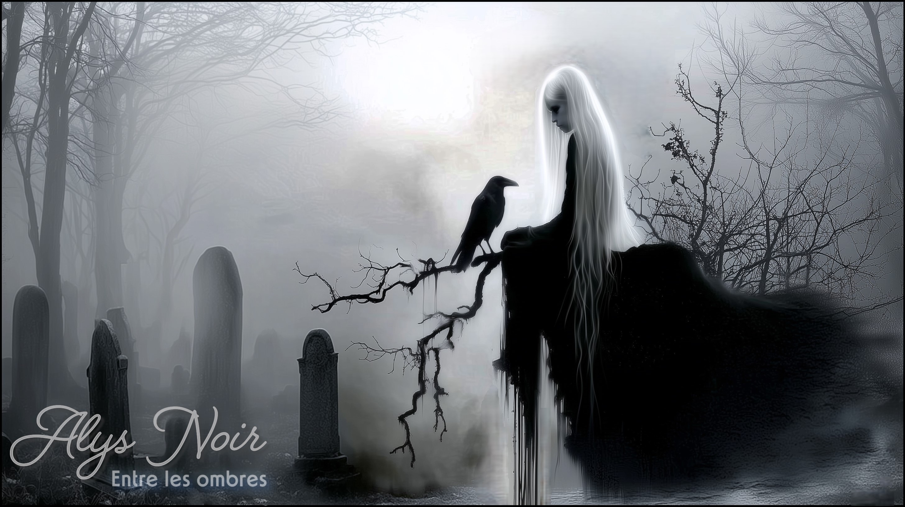 Entre les ombres